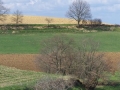 Antin - Vue 2