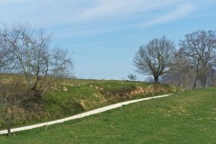 Lalanne-Trie