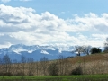 Tournous-Darré - Vue sur les Pyrénées 4